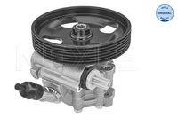 Servo pomp 11146310005