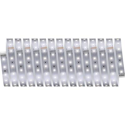 Paulmann MaxLED 500 71236 LED-strip basisset 230 V 5 m Neutraalwit 1 set(s)