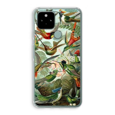 Haeckel Trochilidae: Google Pixel 5 Transparant Hoesje