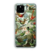 Haeckel Trochilidae: Google Pixel 5 Transparant Hoesje