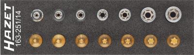 HAZET Gereedschapset - TORX® 163-251/14 - 1/4 inch (6,3 mm) vierkant hol - Buiten-TORX®-profiel, Binnen-TORX®-profiel - 14-delig - E4 - E11 - T10 -