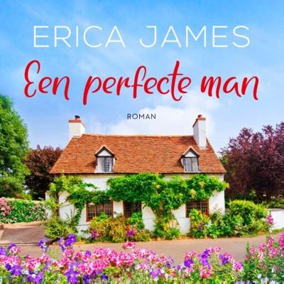 Een perfecte man