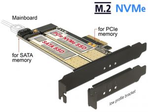 DeLOCK 89630 Intern M.2, SATA interfacekaart/-adapter