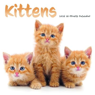 Kittens Kalender 2026