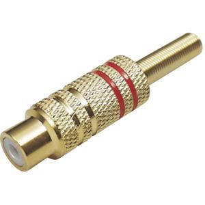 TRU COMPONENTS 1577781 Cinch-connector Koppeling, recht Aantal polen: 2 Mono Rood 1 stuk(s)