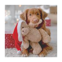 Duni servetten woof 33x33cm