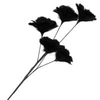 Daan Kromhout Kunsttak feather bloemen zwart 85 cm | 8 stuks