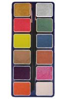 PXP Professional Colours palet metallic colours 12 x 6 gram with 2 brushes