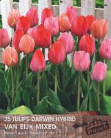 Prins tulp van Eijk mix 25 bollen