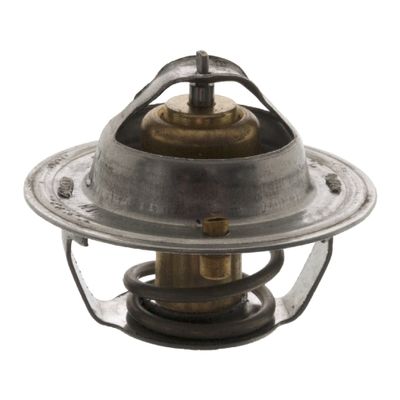 Thermostaat 18971
