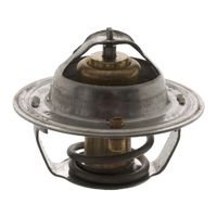 Thermostaat 18971