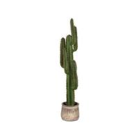 LABEL51 Cactus - Groen - Kunststof - 130