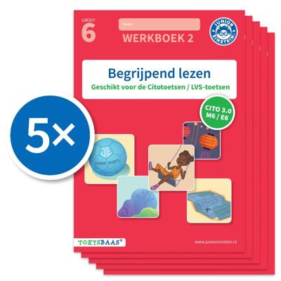 Begrijpend lezen werkboek 2 (Set van 5) (Paperback)