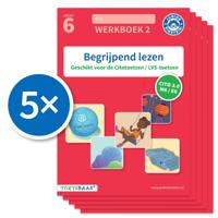 Begrijpend lezen werkboek 2 (Set van 5) (Paperback)