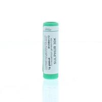 Homeoden Heel Sulphur 30K 1 Gram