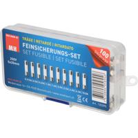 Max Hauri 135395 Buiszekering assortiment (Ø x l) 5 mm x 20 mm Traag -T- Inhoud 100 stuk(s)