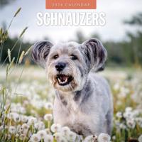 Schnauzer Kalender 2026