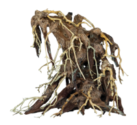 Superfish Bonsai Root Medium - Duurzame Vijverdecoratie en Natuurlijke Vissen Habitat