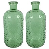 Bloemenvaas Cactus Dots - 2x - groen transparant - glas - D15 x H35 cm