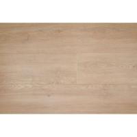 Therdex - Basic Planken 2010 (Plak PVC) Therdex - Basic Planken 2010 (Plak PVC)