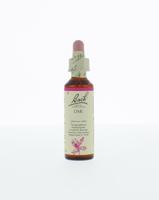 Bach Oak/eik