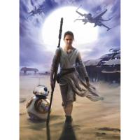 Fotobehang - Star Wars Rey 184x254cm - Papierbehang
