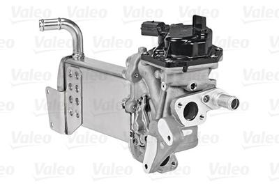 EGR Klep 700438