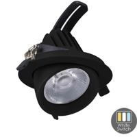 CCT LED downlighter zwart 30W banaan model 45gr. Tri-White - LED2385