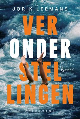 Veronderstellingen (Paperback)