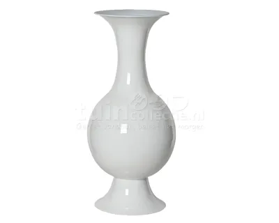 Vaas IJzer Wit 56cm
