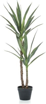 Yucca x2 110 cm - Emerald