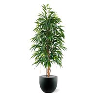 Longifolia Royal kunstboom 175cm