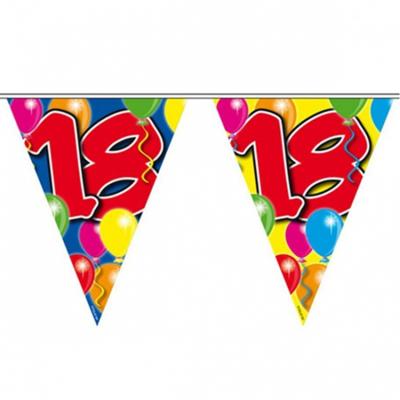18 jaar Leeftijd versiering vlaggenlijn / vlaggetjes - slinger - 10 meter - kunststof