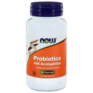 Probiotica 4x6 Acidophilus