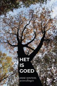 Het is goed - Anne Winters - ebook