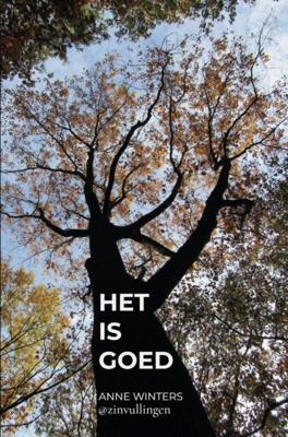 Het is goed - Anne Winters - ebook