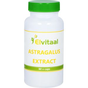 Astragalus extract