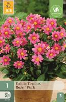 Dahlia topmix roze