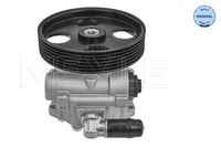 Servo pomp 11146310002