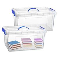 Opslagbox met deksel - 2x - transparant blauw - 34 liter - 53 x 39 x 25 cm - kunststof