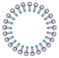 ANP BOUT M5X18 TORX M/PLAAT M/LOCTITE RVS DS A 25