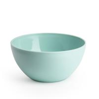 PlasticForte Schaaltjes - kunststof - kommetjes - dessert/ontbijt - D14 x H6 cm - mintgroen PlasticForte Schaaltjes - kunststof - kommetjes - dessert/ontbijt - D14 x H6 cm - mintgroen