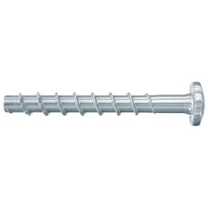 Fischer Betonschroef FBS II 6x40/5 grote bolkop Ø17,5mm - 546379 - 100 stuk(s) - 546379