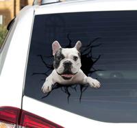 Autosticker hond door glas - thumbnail