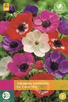 Anemone De Caen Mix gemengd 30 bloembollen Anemoon JUB - Jub