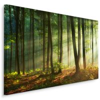 Schilderij - Prachtige ochtend in het bos, een echte eyecatcher, premium print - thumbnail