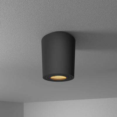 Paxton LED Opbouwspot - 4 Watt 345 lumen - 2700K warm wit - GU10 - Badkamer Opbouwspot - Kantelbaar - Dimbaar - IP65 Waterdicht - Rond - Voor binnen en buitengebruik - Zwart