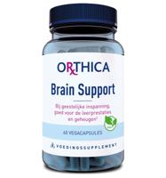 Brain support