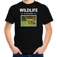 Vos foto t-shirt zwart voor kinderen - wildlife of the world cadeau shirt Vossen liefhebber XL (158-164)  - - thumbnail