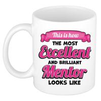 Cadeau koffie/thee mok - excellent leraar/mentor - wit - keramiek - 300 ml